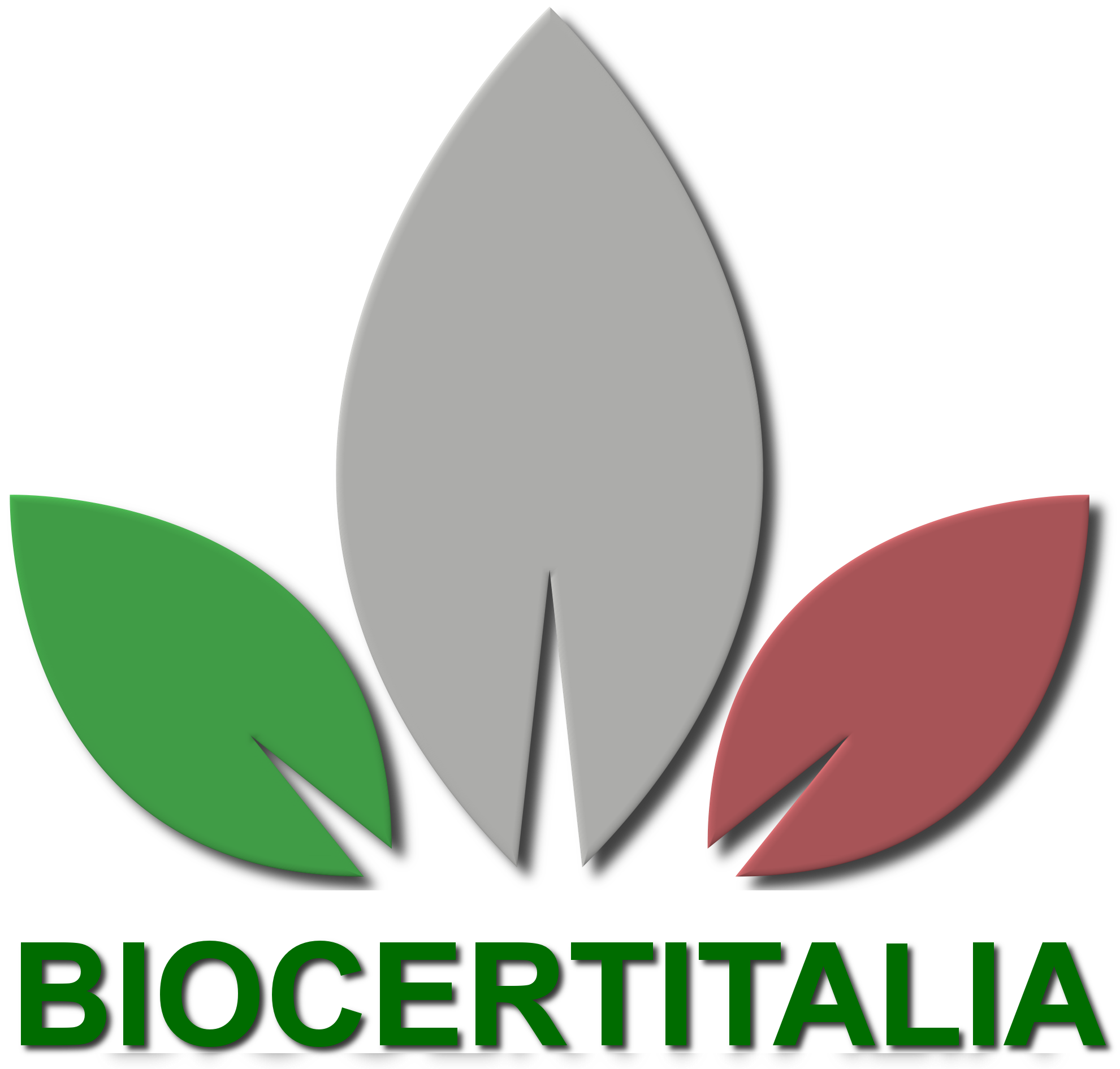 logo_BCI